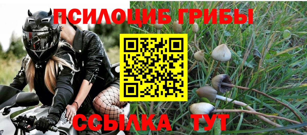 Псилоцибиновые грибы GOLDEN TEACHER  Вход с VPN  Магадан 