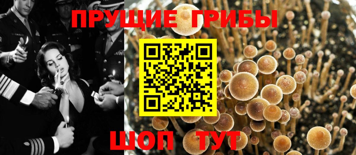 Галлюциногенные грибы Magic Shrooms Магадан